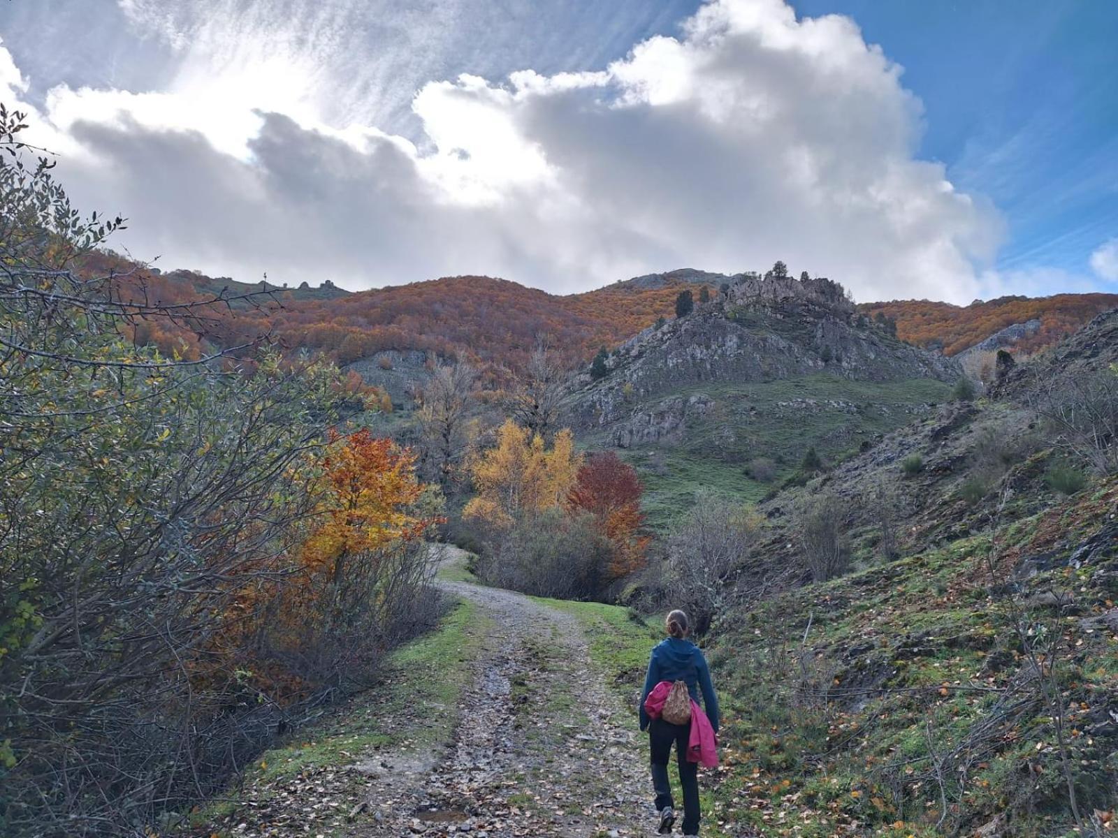 Hotel Rural Valle Del Tuejar Taranilla Kültér fotó